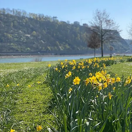 Kusch'lige Kleine דירה