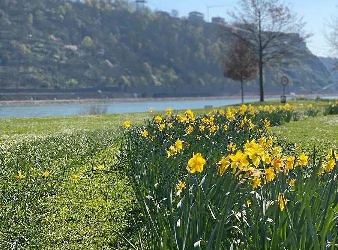 Kusch'lige Kleine Appartamento